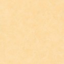 Patine 2 PAE 10022 25 08 Papel Pintado Caselio