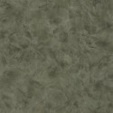 Patine 2 Métallisé PAE 10368 77 42 Papel Pintado Caselio