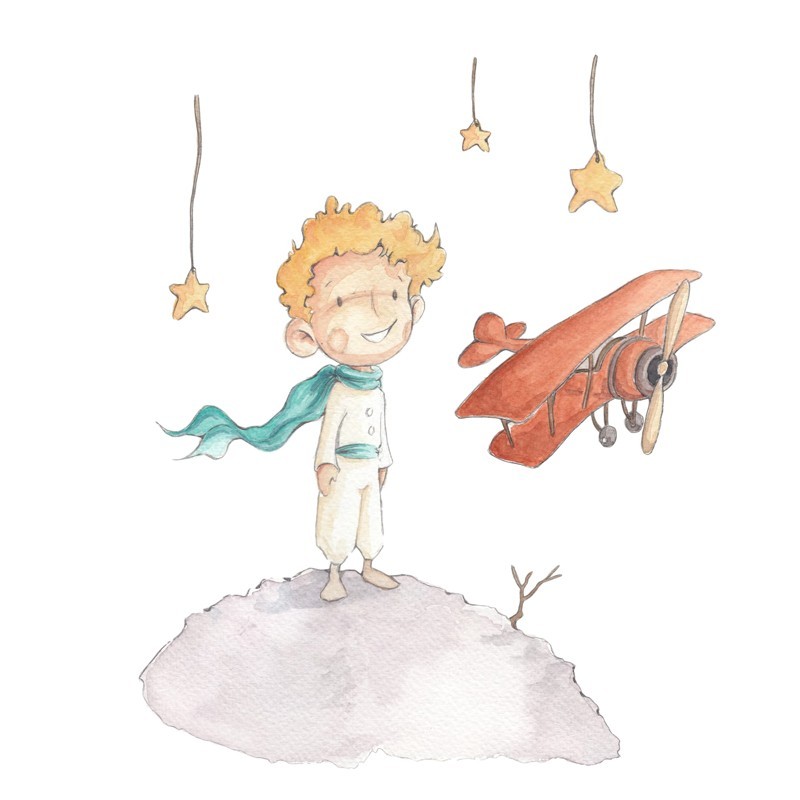 Vinilo Sueños de Cigüeña Stories Little Prince SDC-VIN-ST-001