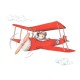 Vinilo Sueños de Cigüeña Colorín Colorado Pepo el Aviador SDC-VIN-OTW-001
