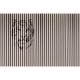Panorama Tiger V125-2 Papel pintado ICH