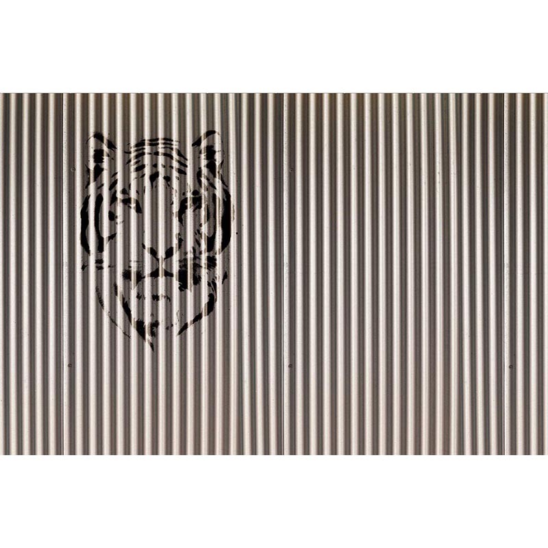 Panorama Tiger V125-2 Papel pintado ICH