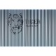 Panorama Tiger V125-1 Papel pintado ICH