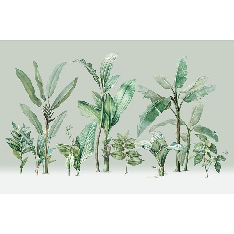Panorama Jungle V111-3 Papel pintado ICH