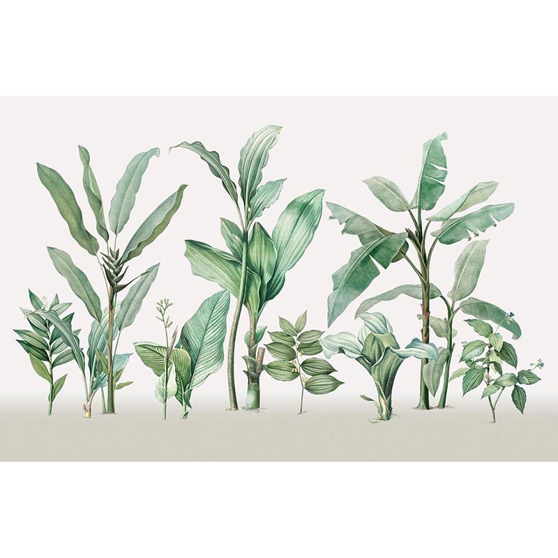 Panorama Jungle V111-2 Papel pintado ICH