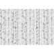 Panorama White Forest  V107-2 Papel pintado ICH