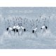 Panorama Bamboo V104-3 Papel pintado ICH