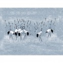 Panorama Pond V104-3 Papel pintado ICH