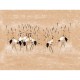 Panorama Pond V104-2 Papel pintado ICH