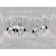 Panorama Pond V104-1 Papel pintado ICH