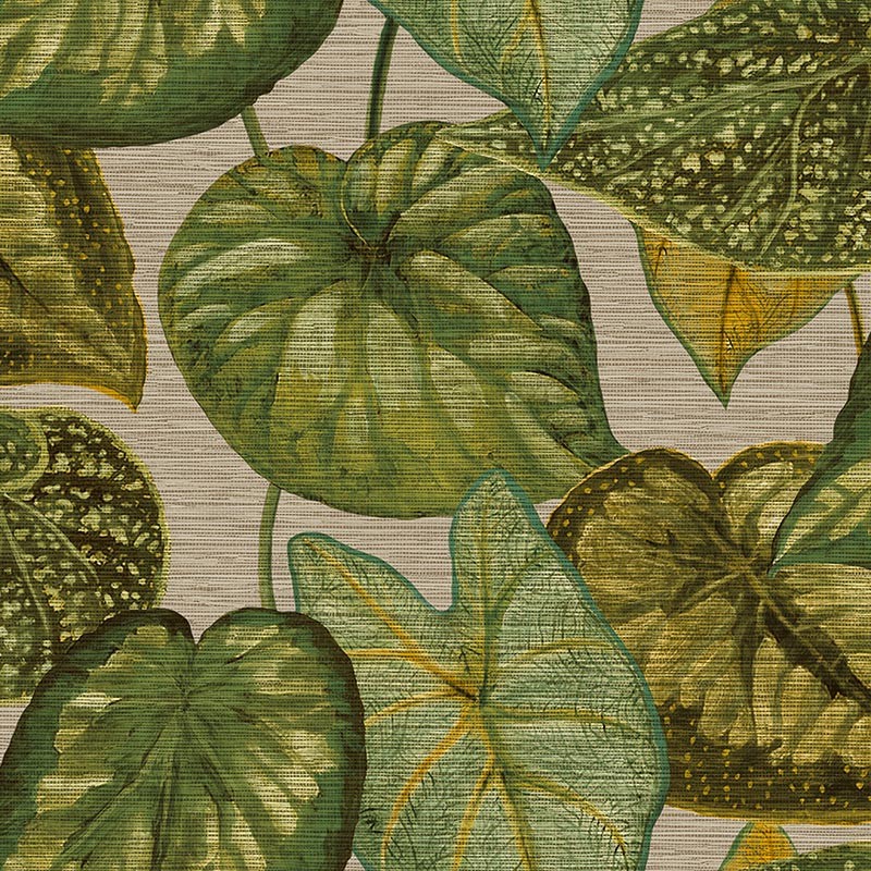 Papel pintado Saint Honoré Magnificence 1662-4362