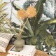 Mural Caselio Green & Co Phoenix GCO103987003