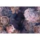 Mural Erismann Elle Decoration 2 Fleur d'éte 2241-10