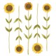 Vinilo Casadeco Once Upon a Time Sunflower OUAT88602764