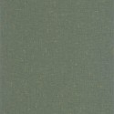 Golden Age Uni Métallisé GAG 10377 72 48 Papel pintado Caselio