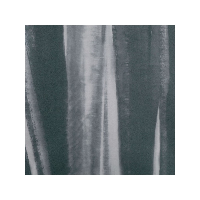 Mural Black Edition Astratto Viridis W386-02