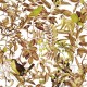 Papel pintado Kemen Wallcoverings Cristina 5179