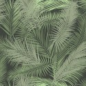 Aruba 8174 Papel pintado Kemen