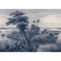 Madagascar 556117 Mural Decoas