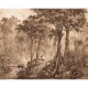 Mural Decorativo Decoas Madagascar 543766