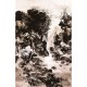Mural Casadeco Kyoto Pavillon d'Or KYTO88772951