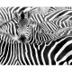 Kenya 363616 Mural decorativo Decoas