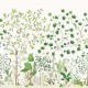 Mural decorativo Sanderson Arboretum Sicamore & Oak Botanical Green 217211