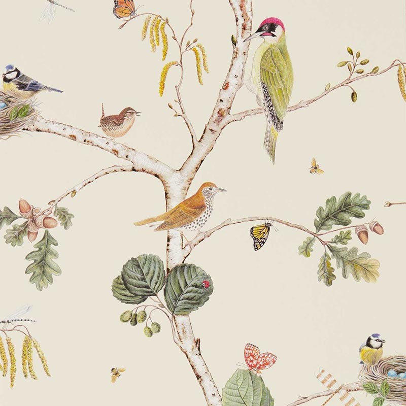 Papel pintado Sanderson Arboretum Woodland Chorus Cream Multi 215703