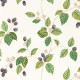 Papel pintado Sanderson Arboretum Rubus Blackberry 217227
