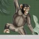 Mural infantil Iberostil Olive & Noah It's a Monkeytown INK7842