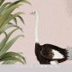 Mural infantil Iberostil Olive & Noah Ostrich Jungle INK7805