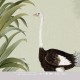 Mural infantil Iberostil Olive & Noah Ostrich Jungle INK7803