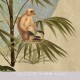 Mural infantil Iberostil Olive & Noah Mountain Jungle INK7800
