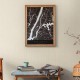 Papel pintado As Creation The Battle of Style 38819-8