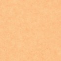 Béton 2 Uni Mat BTO 10148 32 50 Papel pintado Caselio