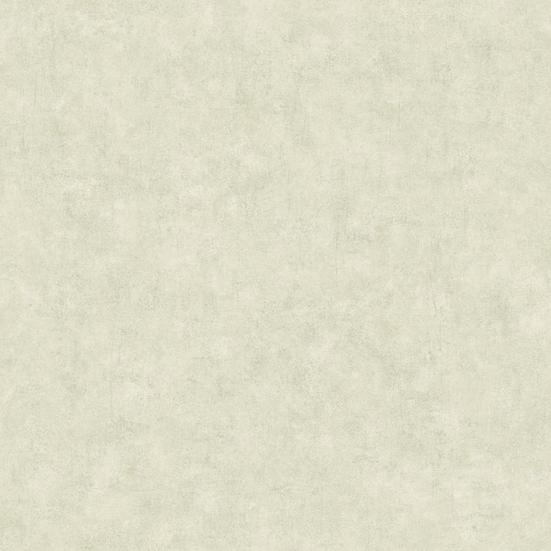 Papel pintado Caselio Béton 2 Uni Mat BTO101487140