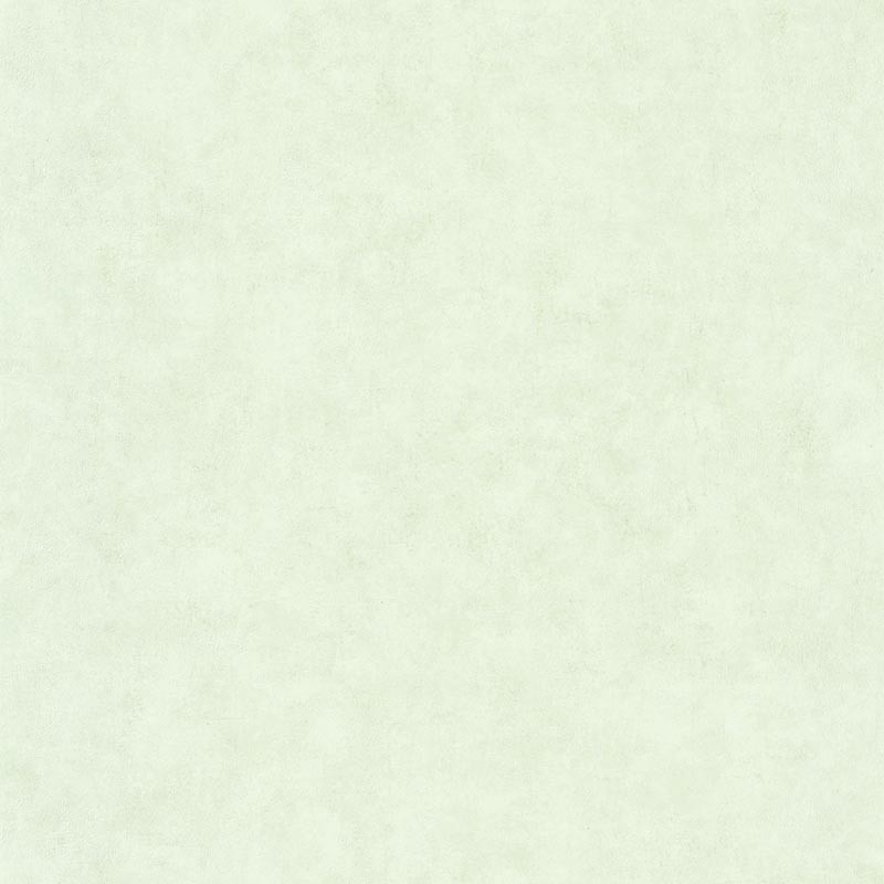 Papel pintado Caselio Béton 2 Uni Mat BTO101487042