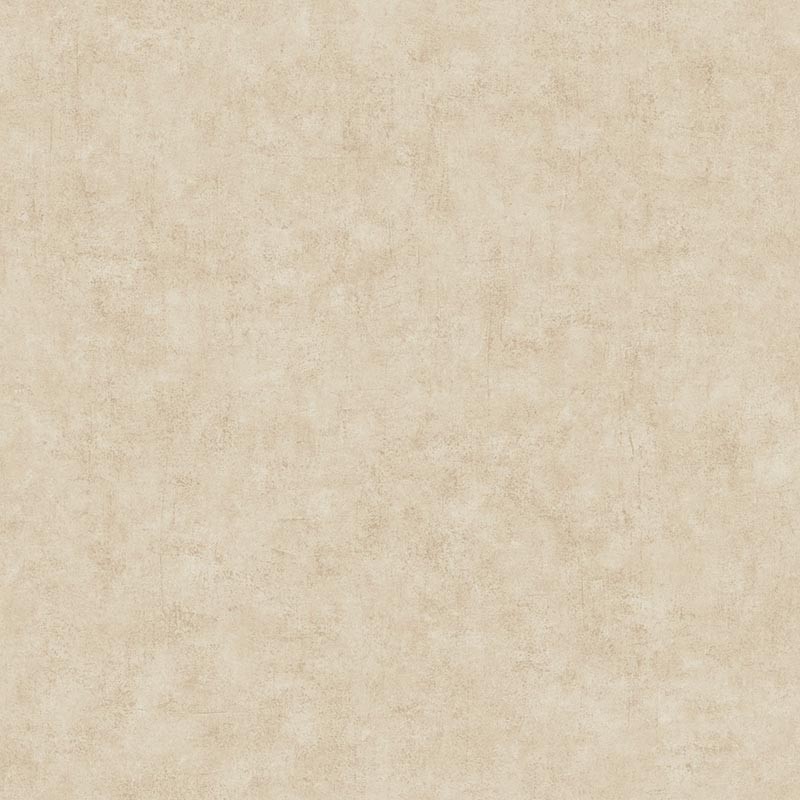 Papel pintado Caselio Béton 2 Uni Mat BTO101481156