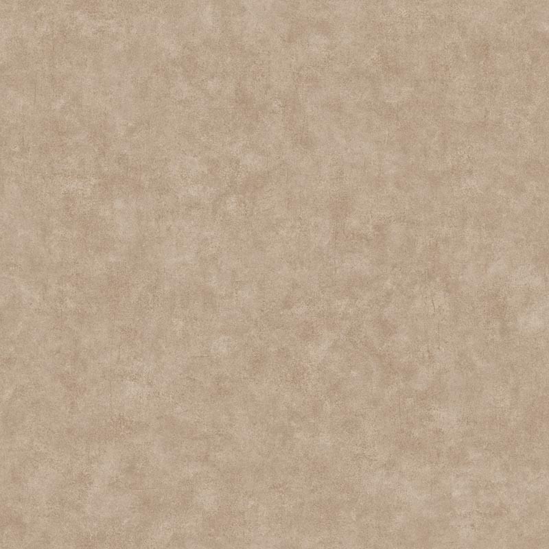 Papel pintado Caselio Béton 2 Uni Mat BTO101482213