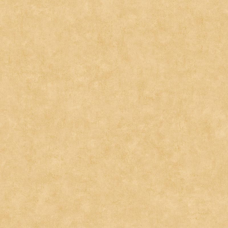 Papel pintado Caselio Béton 2 Uni Mat BTO101481515