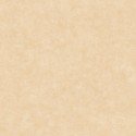 Béton 2 Uni Mat BTO 10148 16 74 Papel pintado Caselio