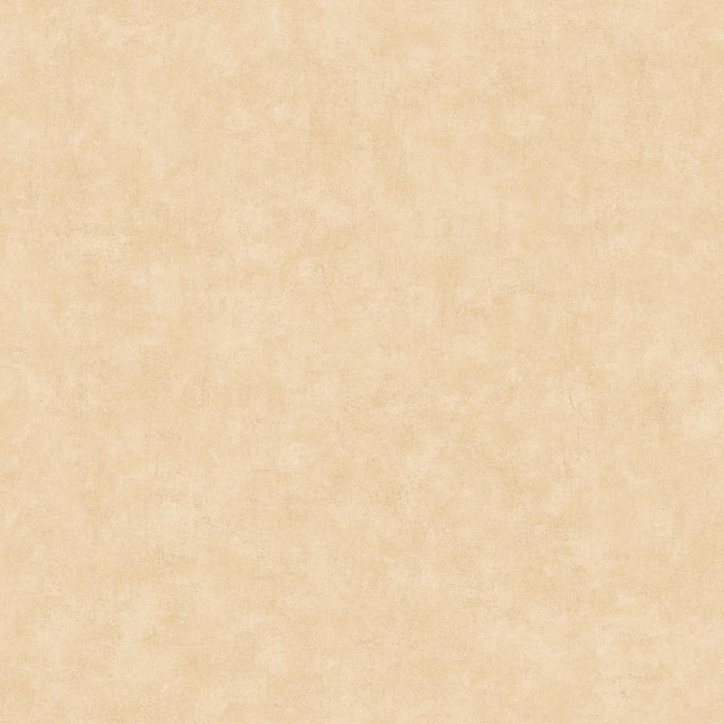 Papel pintado Caselio Béton 2 Uni Mat BTO101481674