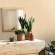 Papel pintado Caselio Béton 2 Uni Mat BTO101481674