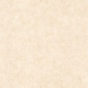 Béton 2 Uni Mat BTO 10148 11 23 Papel pintado Caselio