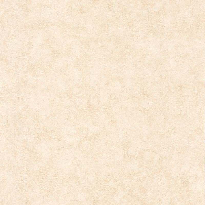 Papel pintado Caselio Béton 2 Uni Mat BTO101481123