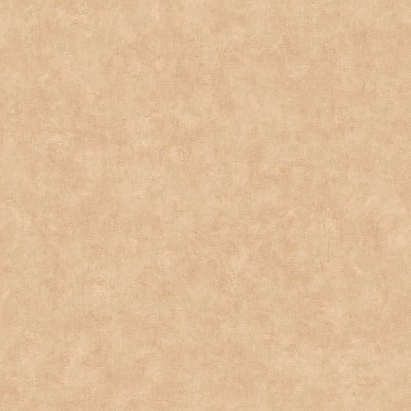 Papel pintado Caselio Béton 2 Uni Mat BTO101482446