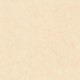 Papel pintado Caselio Béton 2 Uni Mat BTO101481247