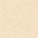 Béton 2 Uni Mat BTO 10148 12 47 Papel pintado Caselio