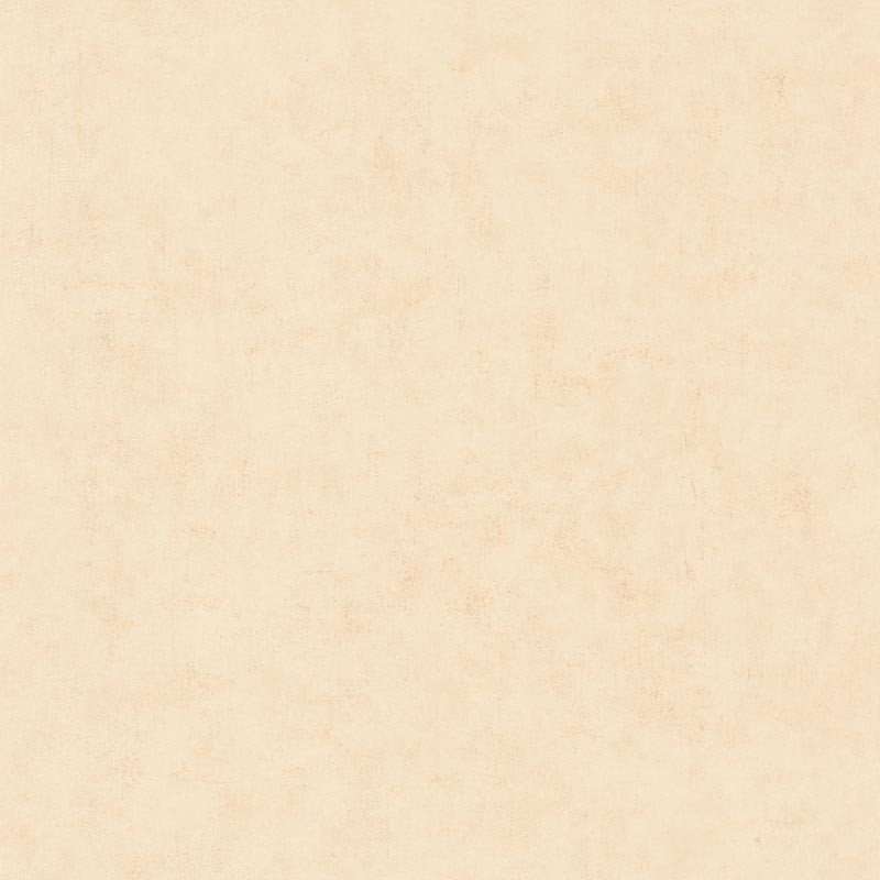 Papel pintado Caselio Béton 2 Uni Mat BTO101481247