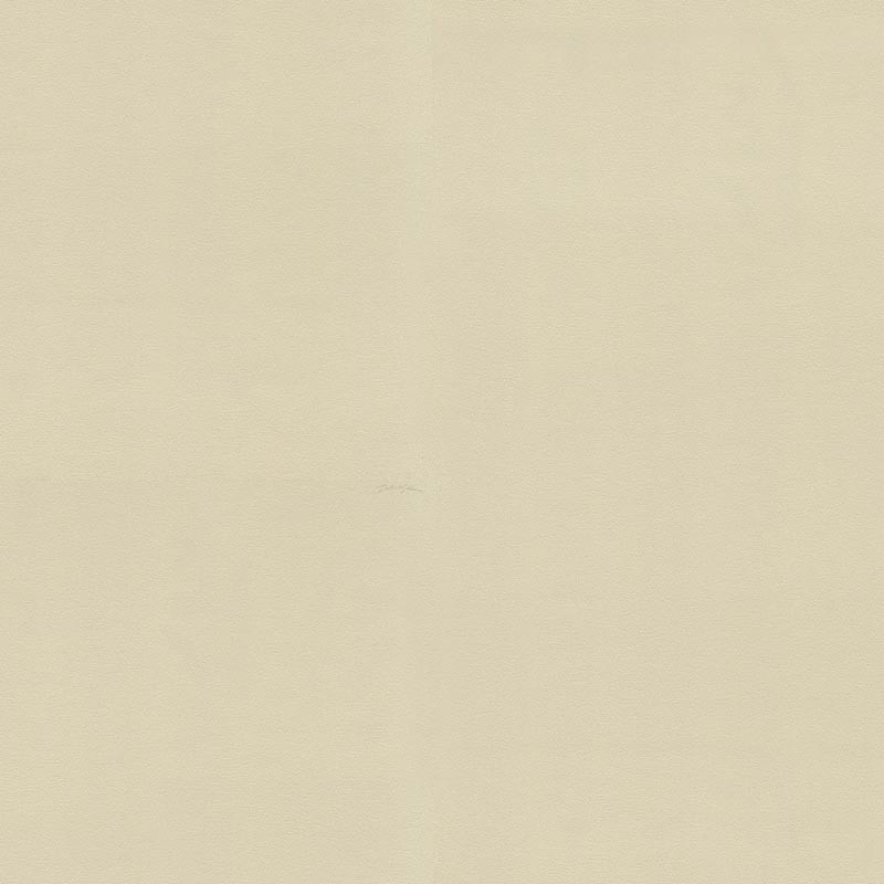 Papel pintado Dolce & Gabbana nº 1 TCW007TCAHNU0059